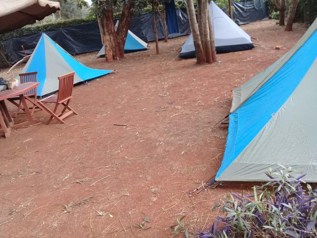 Хостел Milimani Backpackers Найроби Экстерьер фото